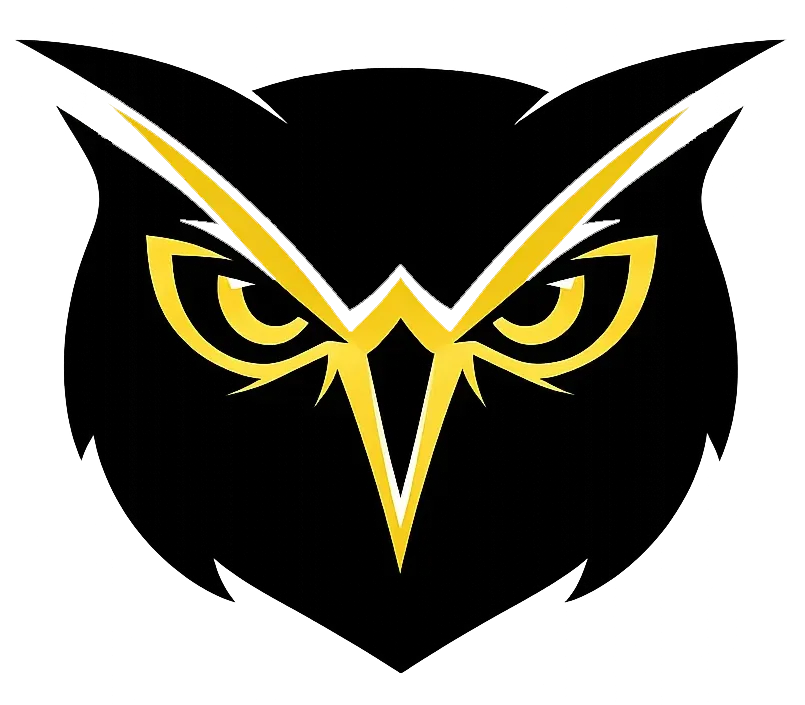 Owl Birds