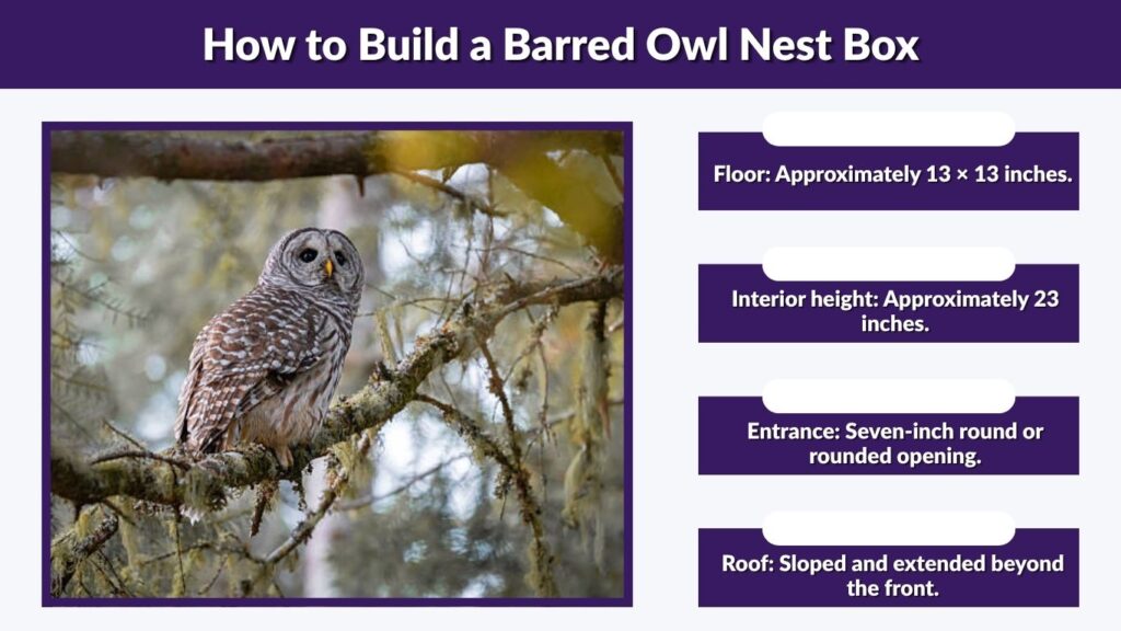 How to Build a Barred Owl Nest Box