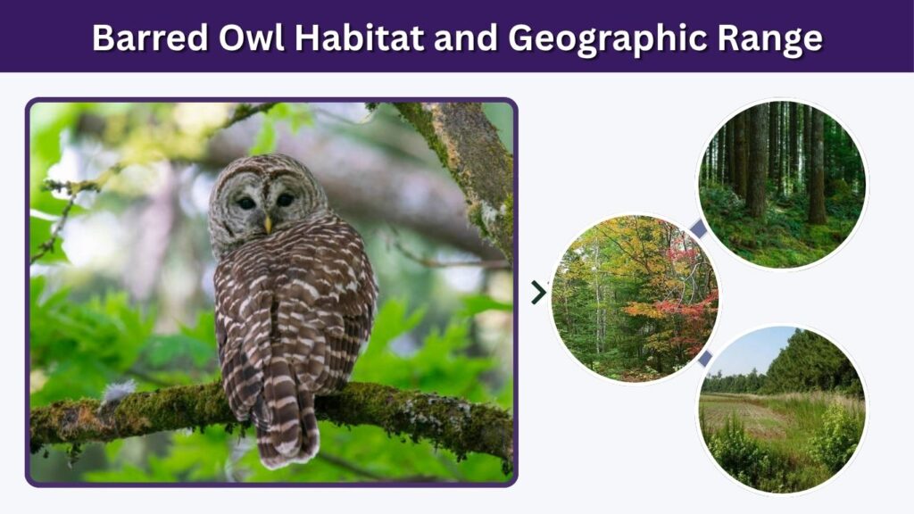 Barred Owl Habitat and Geographic Range