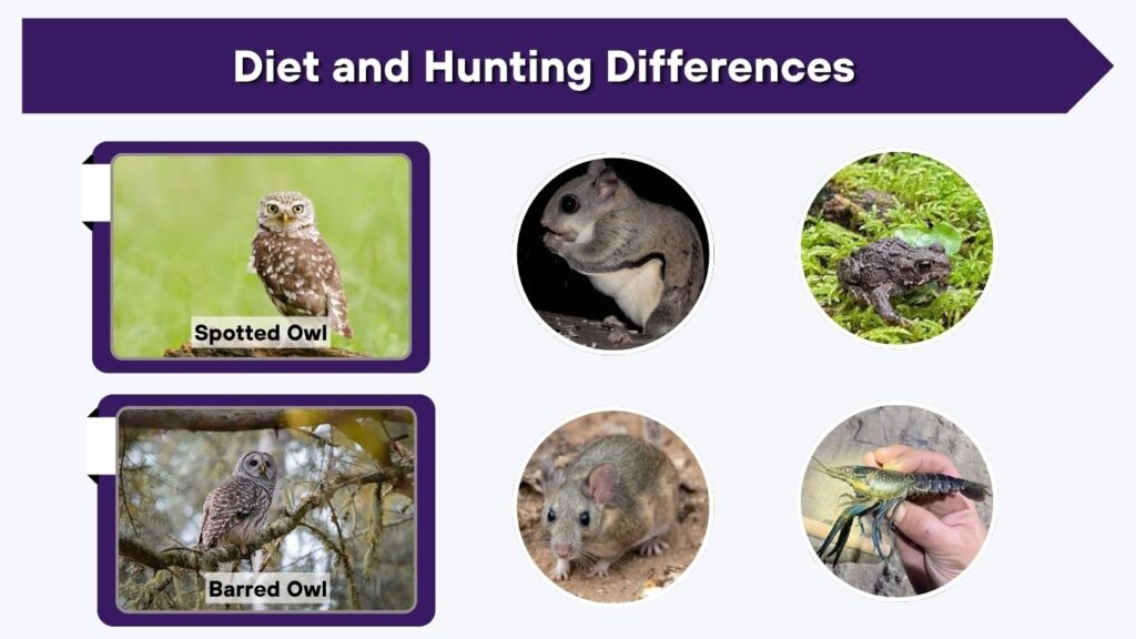 Diet and Hunting Differences