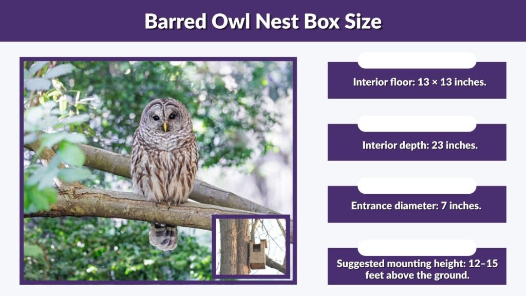 Barred Owl Nest Box Size