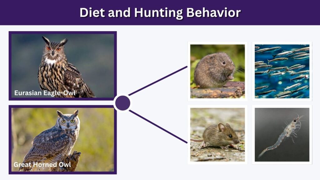 Diet and Hunting Behavior