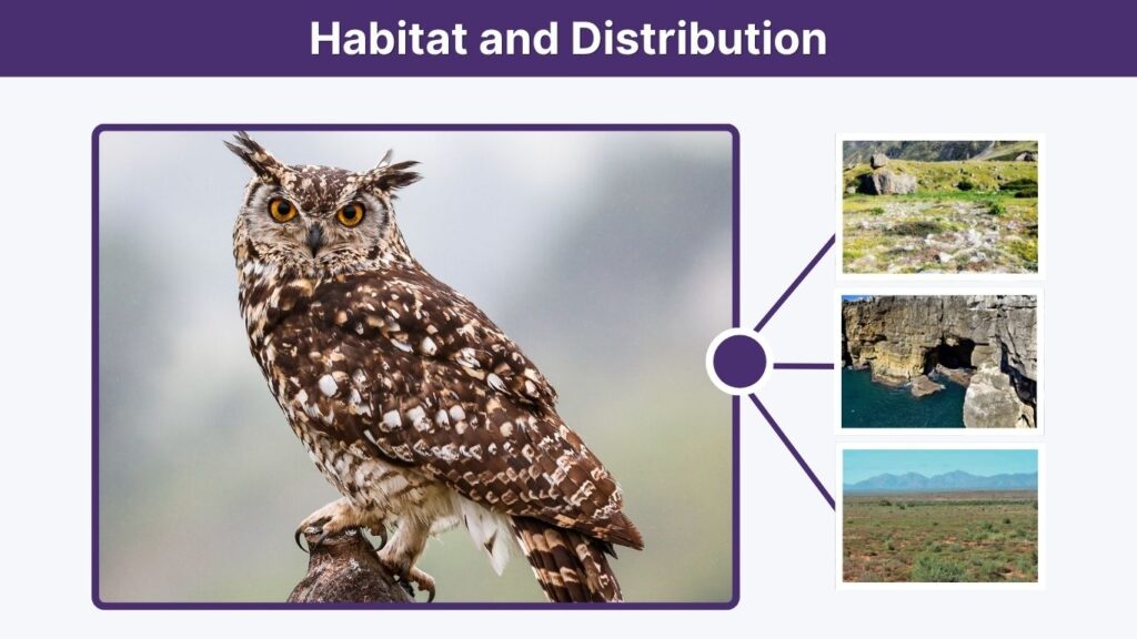 Habitat and Distribution