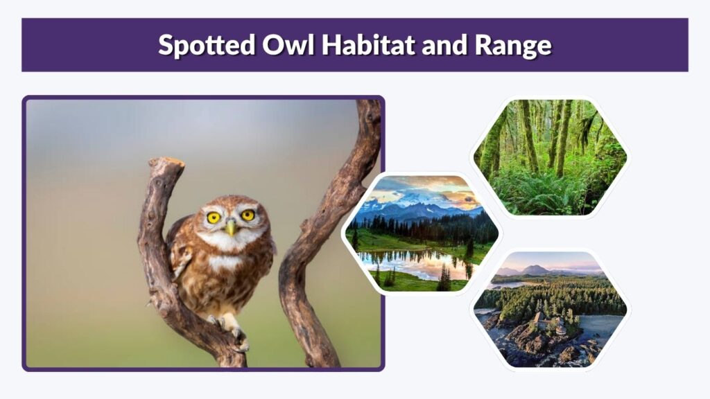 Spotted Owl Habitat and Range