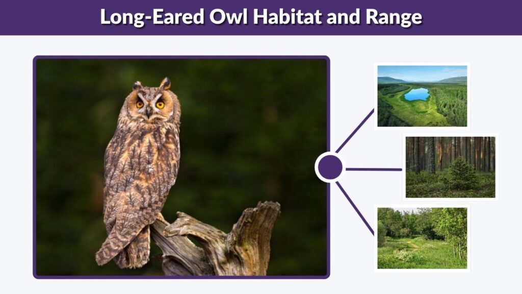 Long-Eared Owl Habitat and Range