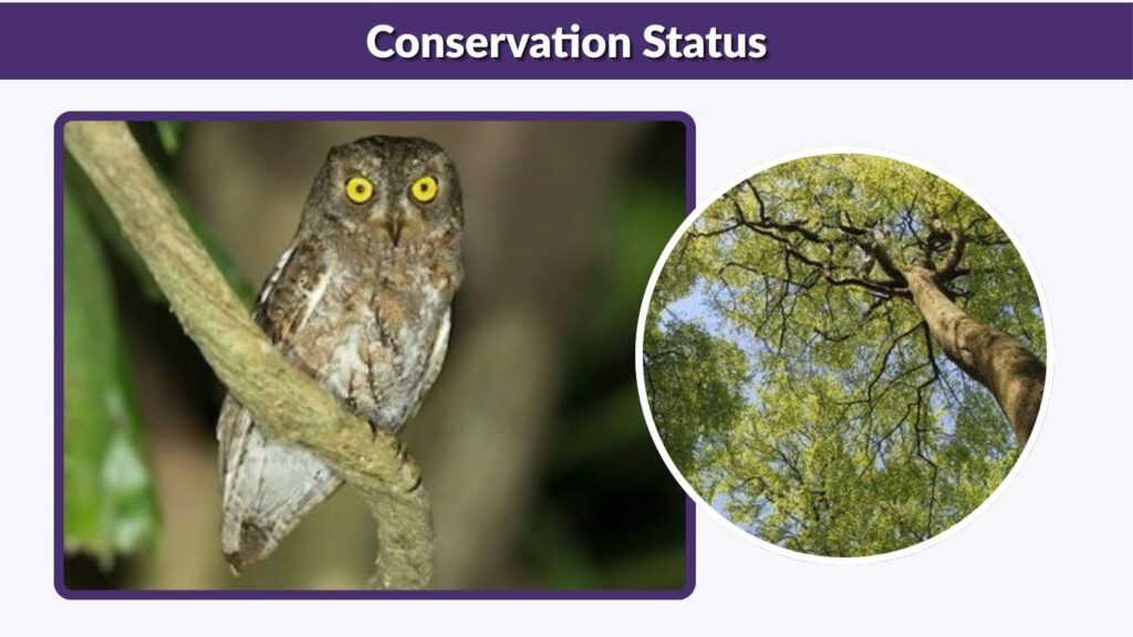 Conservation Status